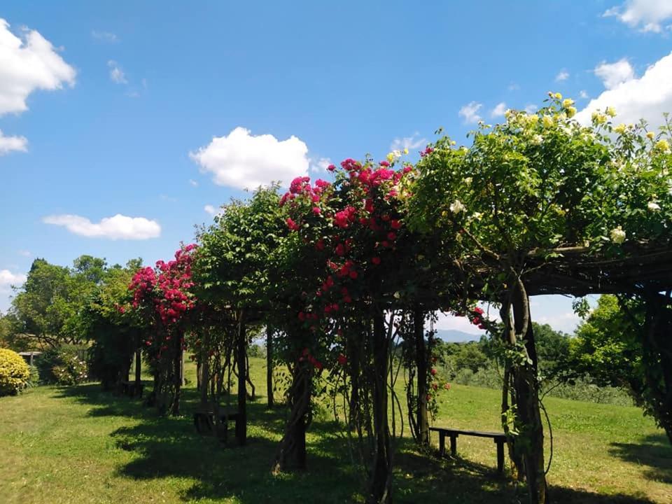 Locanda Rosati Орвието Экстерьер фото